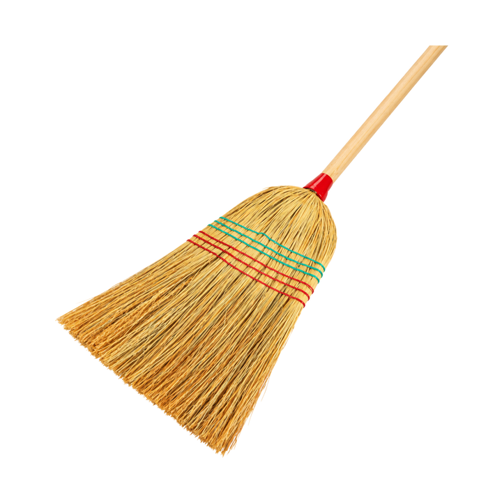 ESCOBA DOMESTICA